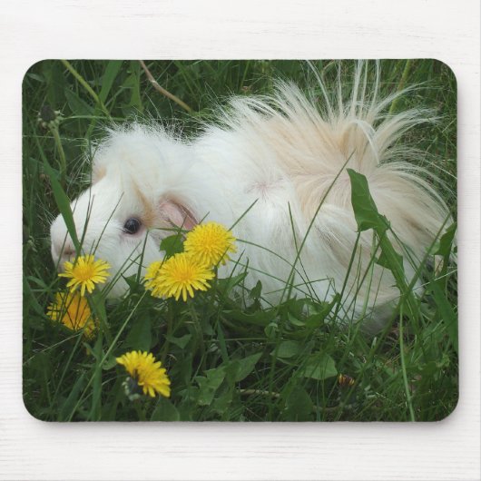 Meerschweinchen Mousepad (Vorne)