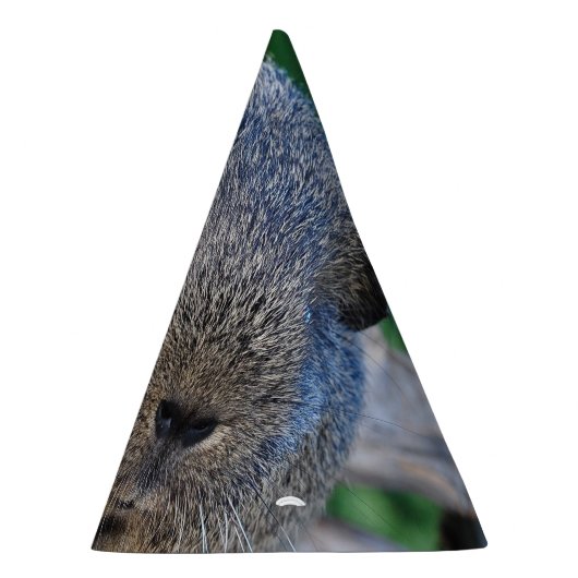 Meerschweinchen Partyhütchen (Rechts)