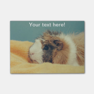 Meerschweinchen Post-it Klebezettel