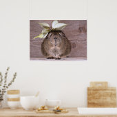 Meerschweinchen Poster (Küche)