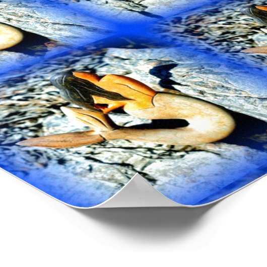 Meerschweinchen Poster (Ecke)