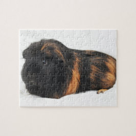 Meerschweinchen Puzzle