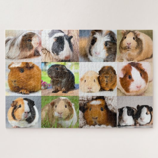 Meerschweinchen Puzzle (Horizontal)