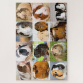 Meerschweinchen Puzzle (Vertikal)