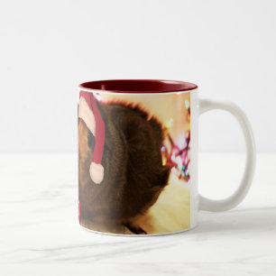 Meerschweinchen Sankt Zweifarbige Tasse