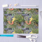 Meerschweinchen Seidenpapier (Handwerk)