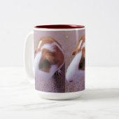 Meerschweinchen-Tasse Zweifarbige Tasse (Vorderseite Links)