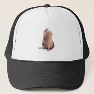 Meerschweinchen, Truckerkappe