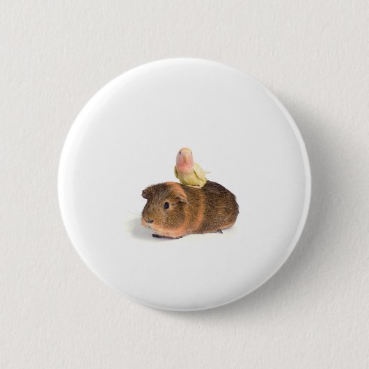 Meerschweinchen und gelber Vogel Button (Vorderseite)