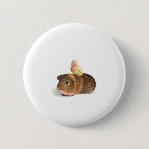 Meerschweinchen und gelber Vogel Button