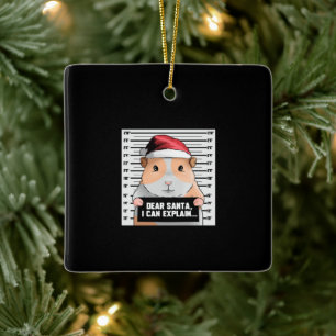 Meerschweinchen Weihnachten Cavy Lieber Santa, ich Keramikornament