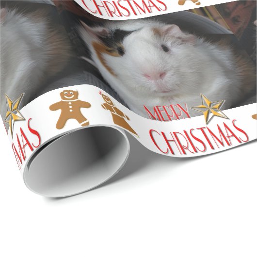 Meerschweinchen-Weihnachten Geschenkpapier (Rolleneckpunkt)