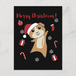 Meerschweinchen Weihnachten Wintertiere
