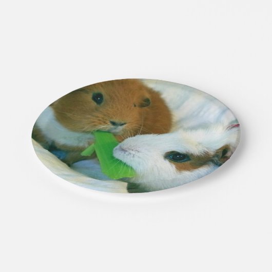 Meerschweinchen Weihnachtsplatte Pappteller (Schrägansicht)