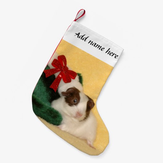 Meerschweinchenbogen WeihnachtsStrumpf Kleiner Weihnachtsstrumpf (Vorderansicht (hängend))