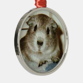 Meerschweinchenweihnachtsverzierung Silbernes Ornament (Rechts)
