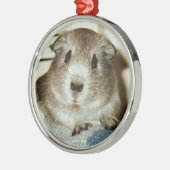 Meerschweinchenweihnachtsverzierung Silbernes Ornament (Links)