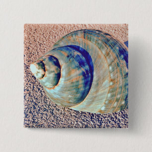 MeerWelk Seashell Button