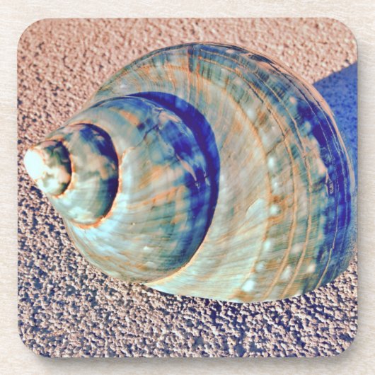 MeerWelk Seashell Untersetzer (Vorderseite)