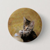 Meet Tiger Button (Vorderseite)