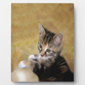 Meet Tiger Fotoplatte (Vorderseite)