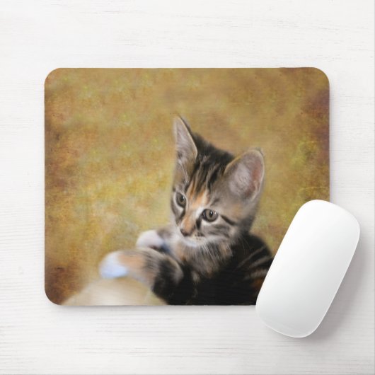 Meet Tiger Mousepad (Mit Mouse)