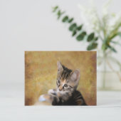 Meet Tiger Postkarte (Stehend Vorderseite)