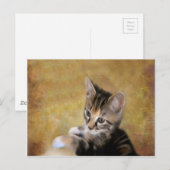 Meet Tiger Postkarte (Vorne/Hinten)