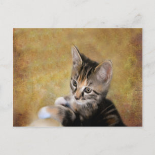 Meet Tiger Postkarte
