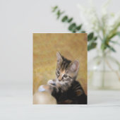 Meet Tiger Postkarte (Stehend Vorderseite)