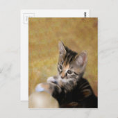 Meet Tiger Postkarte (Vorne/Hinten)