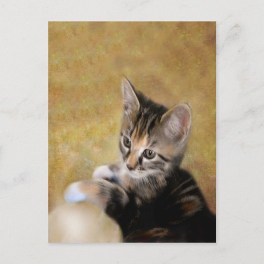 Meet Tiger Postkarte (Vorderseite)