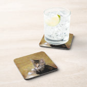 Meet Tiger Untersetzer (Rechte Seite)