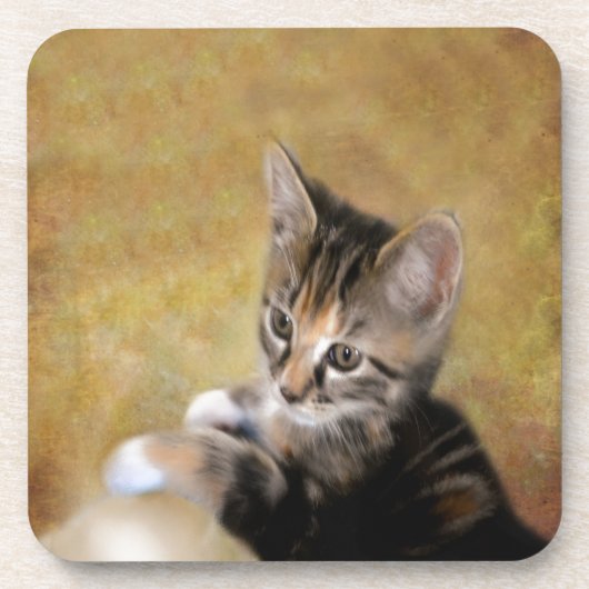 Meet Tiger Untersetzer (Vorderseite)