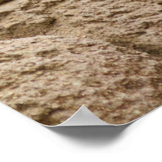 Meetkat Posterq Poster (Ecke)