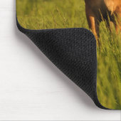 Meg. Ohm in der Weide Mousepad (Ecke)