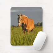 Meg. Ohm in der Weide Mousepad (Mit Mouse)