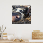 Meg the Pig Poster (Küche)