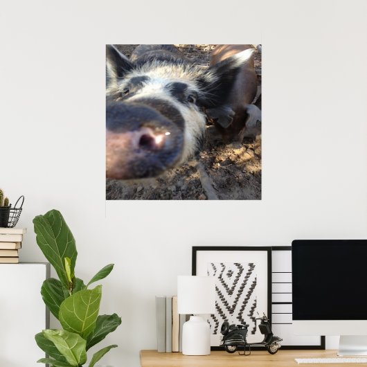 Meg the Pig Poster (Heimbüro)
