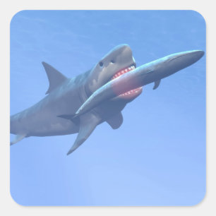Megalodon, das einen Wal isst Quadratischer Aufkleber