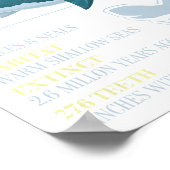 Megalodon Facts Meg Prähistorischer Hai-Zahn-Fossi Poster (Ecke)