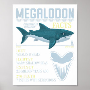 Megalodon Facts Meg Prähistorischer Hai-Zahn-Fossi Poster
