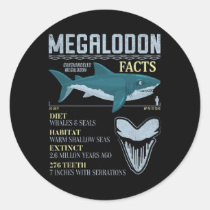 Megalodon Facts Meg Prähistorischer Hai-Zahn-Fossi Runder Aufkleber