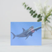 Megalodon frisst einen Wal Postkarte (Stehend Vorderseite)