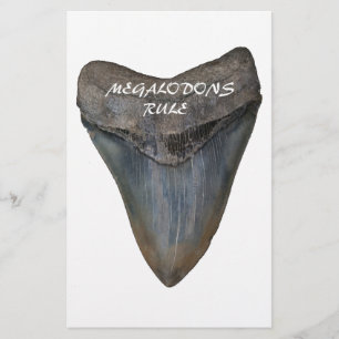 Megalodon Haifisch-Zahn Briefpapier