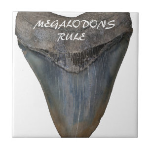 Megalodon Haifisch-Zahn Fliese