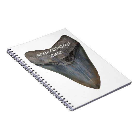 Megalodon Haifisch-Zahn Notizblock (Rechte Seite)