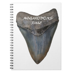 Megalodon Haifisch-Zahn Notizblock