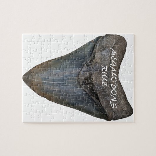 Megalodon Haifisch-Zahn Puzzle (Horizontal)