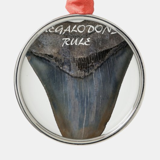 Megalodon Haifisch-Zahn Silbernes Ornament (Vorne)